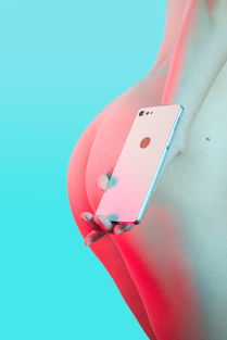 錘子鐵粉自制堅果pro 2美照 老羅點贊