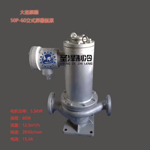 氨制冷冷庫屏蔽電泵原廠大連旅順氨用氨泵40p 40 50p 40立式臥式屏蔽氨泵圖片大全